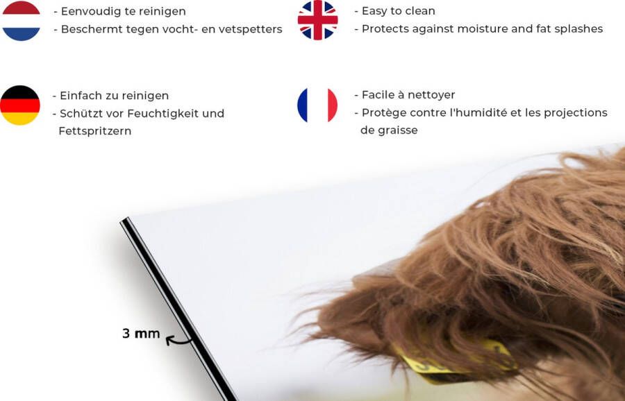 KitchenYeah Spatscherm keuken 120x80 cm Kookplaat achterwand Schotse Hooglander Bruin Dieren Muurbeschermer Spatwand fornuis Hoogwaardig aluminium