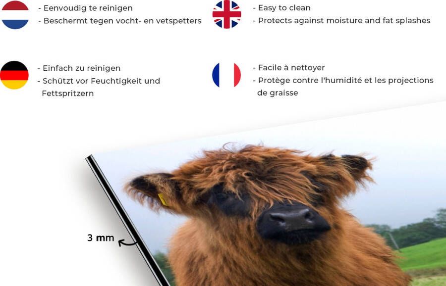 KitchenYeah Spatscherm Keuken Kookplaat Achterwand Spatwand Fornuis 120x80 cm Schotse hooglander Koeien Natuur Groen Gras Aluminium Wanddecoratie Muurbeschermer Hittebestendig