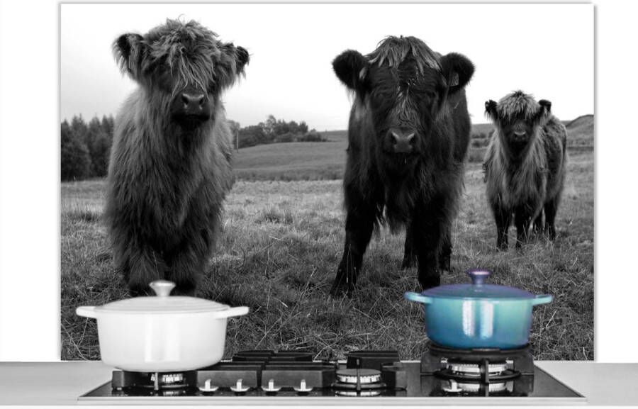 KitchenYeah Spatscherm keuken 120x80 cm Kookplaat achterwand Schotse hooglander Koeien Natuur Groen Gras Muurbeschermer Spatwand fornuis Hoogwaardig aluminium