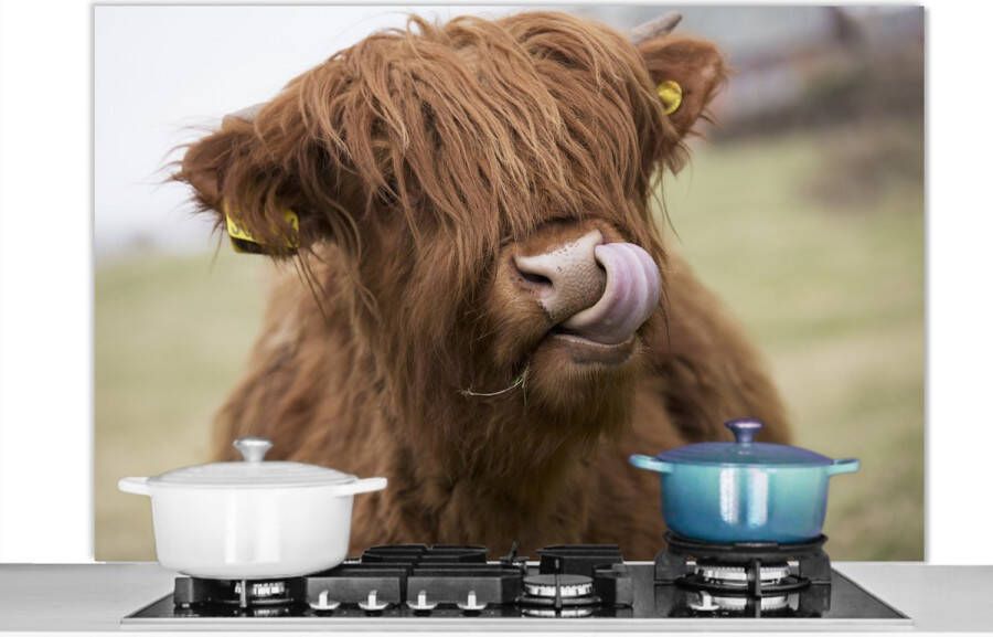 KitchenYeah Spatscherm keuken 120x80 cm Kookplaat achterwand Schotse Hooglander Koeienkop Close Up Muurbeschermer Spatwand fornuis Hoogwaardig aluminium