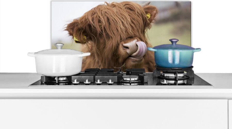 KitchenYeah Spatscherm keuken 60x30 cm Kookplaat achterwand Schotse Hooglander Bruin Koe Muurbeschermer Spatwand fornuis Hoogwaardig aluminium