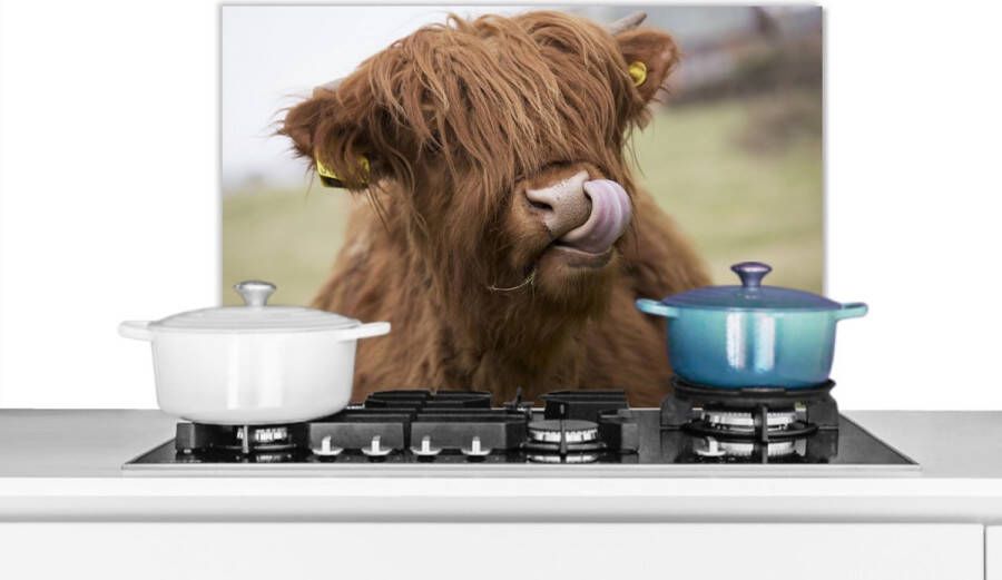 KitchenYeah Spatscherm keuken 60x40 cm Kookplaat achterwand Schotse Hooglander Bruin Dieren Muurbeschermer Spatwand fornuis Hoogwaardig aluminium