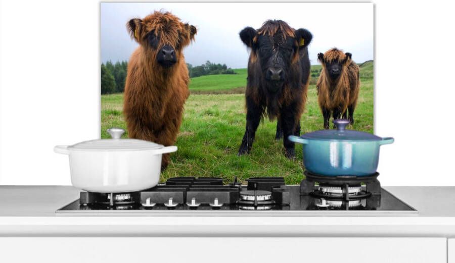 KitchenYeah Spatscherm Keuken Kookplaat Achterwand Spatwand Fornuis 60x40 cm Schotse hooglander Koeien Natuur Groen Gras Aluminium Wanddecoratie Muurbeschermer Hittebestendig