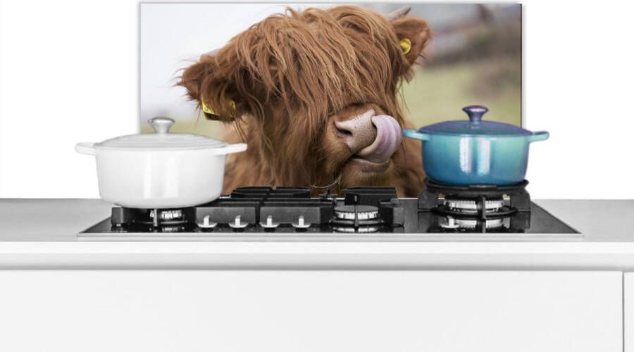 KitchenYeah Spatscherm keuken 70x30 cm Kookplaat achterwand Schotse Hooglander Bruin Dieren Muurbeschermer Spatwand fornuis Hoogwaardig aluminium