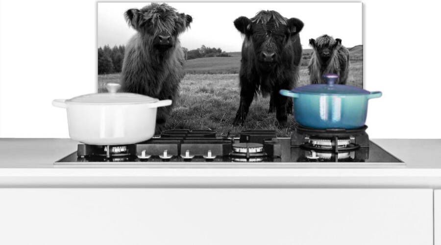 KitchenYeah Spatscherm keuken 70x30 cm Kookplaat achterwand Schotse hooglander Koeien Natuur Groen Gras Muurbeschermer Spatwand fornuis Hoogwaardig aluminium