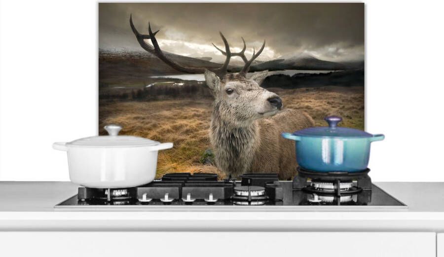 KitchenYeah Spatscherm keuken 70x50 cm Kookplaat achterwand Gewei Hert Berg Muurbeschermer Spatwand fornuis Hoogwaardig aluminium