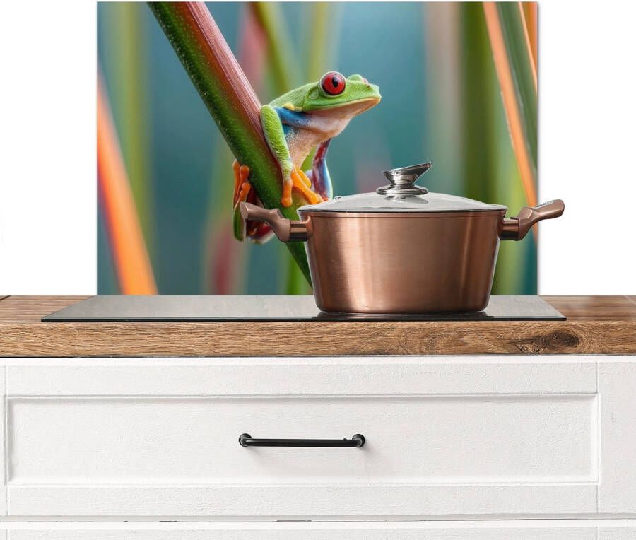 KitchenYeah Spatscherm keuken 70x50 cm Kookplaat achterwand Kleurrijke kikker Groene stengel Alert Muurbeschermer Spatwand fornuis Hoogwaardig aluminium