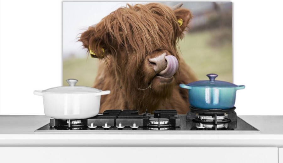 KitchenYeah Spatscherm keuken 70x50 cm Kookplaat achterwand Schotse Hooglander Bruin Dieren Muurbeschermer Spatwand fornuis Hoogwaardig aluminium
