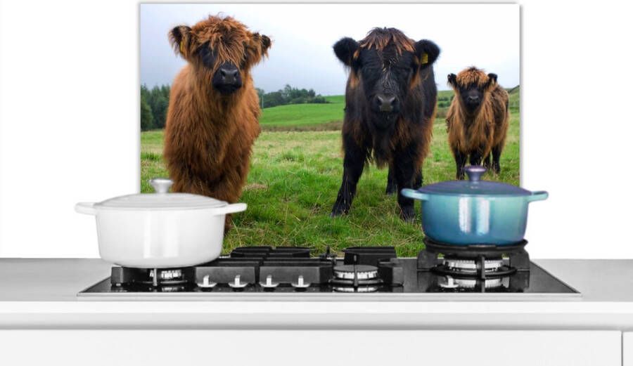 KitchenYeah Spatscherm Keuken Kookplaat Achterwand Spatwand Fornuis 70x50 cm Schotse hooglander Koeien Natuur Groen Gras Aluminium Wanddecoratie Muurbeschermer Hittebestendig