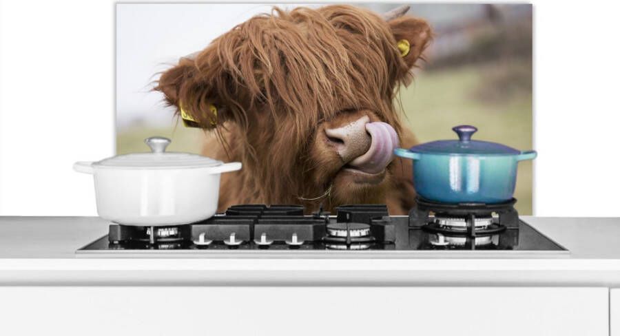 KitchenYeah Spatscherm keuken 80x40 cm Kookplaat achterwand Schotse Hooglander Bruin Koe Muurbeschermer Spatwand fornuis Hoogwaardig aluminium