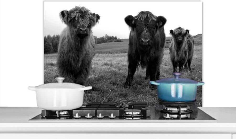 KitchenYeah Spatscherm keuken 80x55 cm Kookplaat achterwand Schotse hooglander Koeien Natuur Groen Gras Muurbeschermer Spatwand fornuis Hoogwaardig aluminium