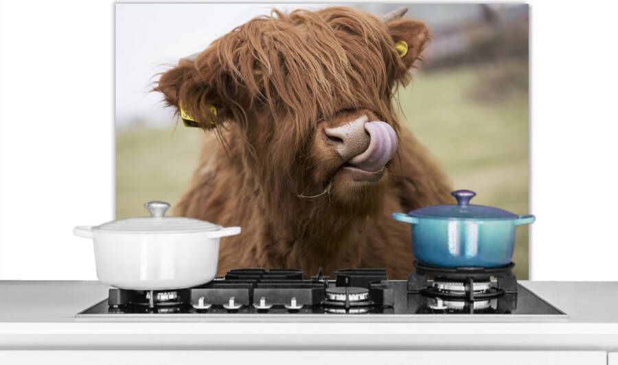 KitchenYeah Spatscherm keuken 80x55 cm Kookplaat achterwand Schotse Hooglander Koeienkop Close Up Muurbeschermer Spatwand fornuis Hoogwaardig aluminium