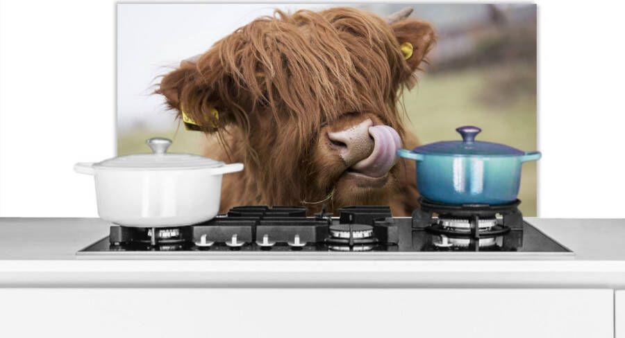 KitchenYeah Spatscherm keuken 90x45 cm Kookplaat achterwand Schotse Hooglander Bruin Dieren Muurbeschermer Spatwand fornuis Hoogwaardig aluminium