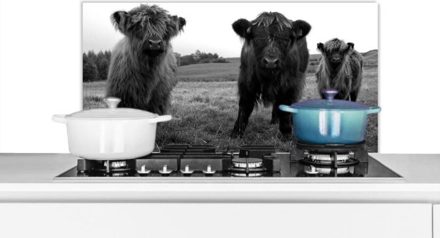 KitchenYeah Spatscherm keuken 90x45 cm Kookplaat achterwand Schotse hooglander Koeien Natuur Groen Gras Muurbeschermer Spatwand fornuis Hoogwaardig aluminium