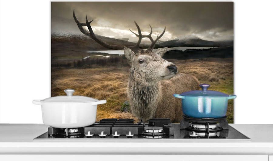 KitchenYeah Spatscherm keuken 90x60 cm Kookplaat achterwand Gewei Hert Berg Muurbeschermer Spatwand fornuis Hoogwaardig aluminium