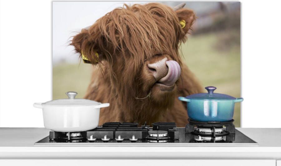 KitchenYeah Spatscherm keuken 90x60 cm Kookplaat achterwand Schotse Hooglander Bruin Dieren Muurbeschermer Spatwand fornuis Hoogwaardig aluminium