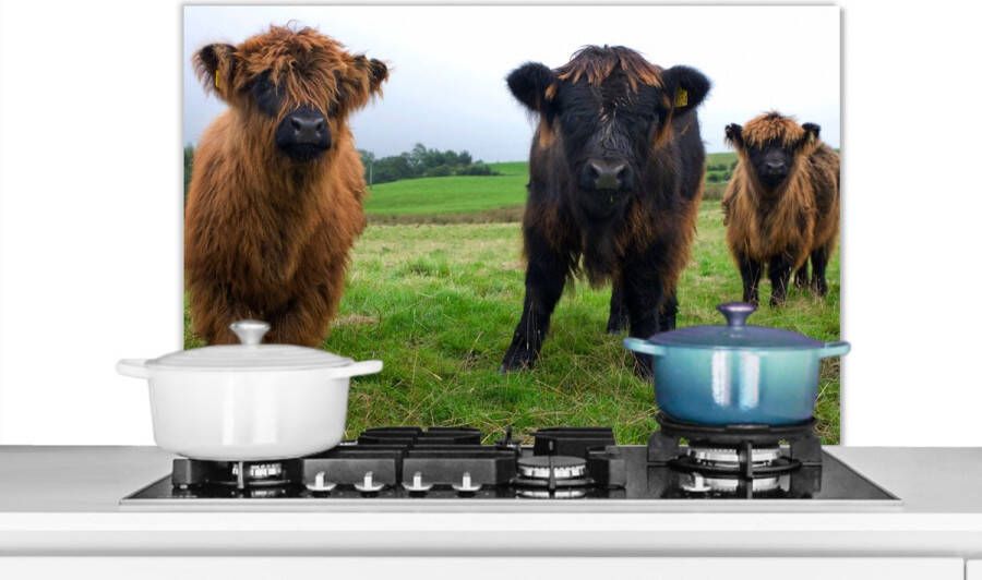 KitchenYeah Spatscherm Keuken Kookplaat Achterwand Spatwand Fornuis 90x60 cm Schotse hooglander Koeien Natuur Groen Gras Aluminium Wanddecoratie Muurbeschermer Hittebestendig