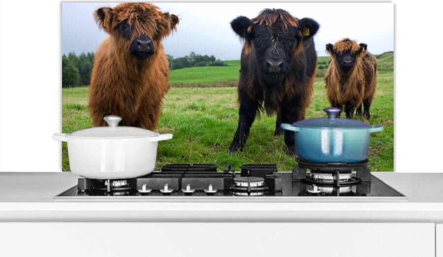 KitchenYeah Spatscherm Keuken Kookplaat Achterwand Spatwand Fornuis 100x50 cm Schotse hooglander Koeien Natuur Groen Gras Aluminium Wanddecoratie Muurbeschermer Hittebestendig