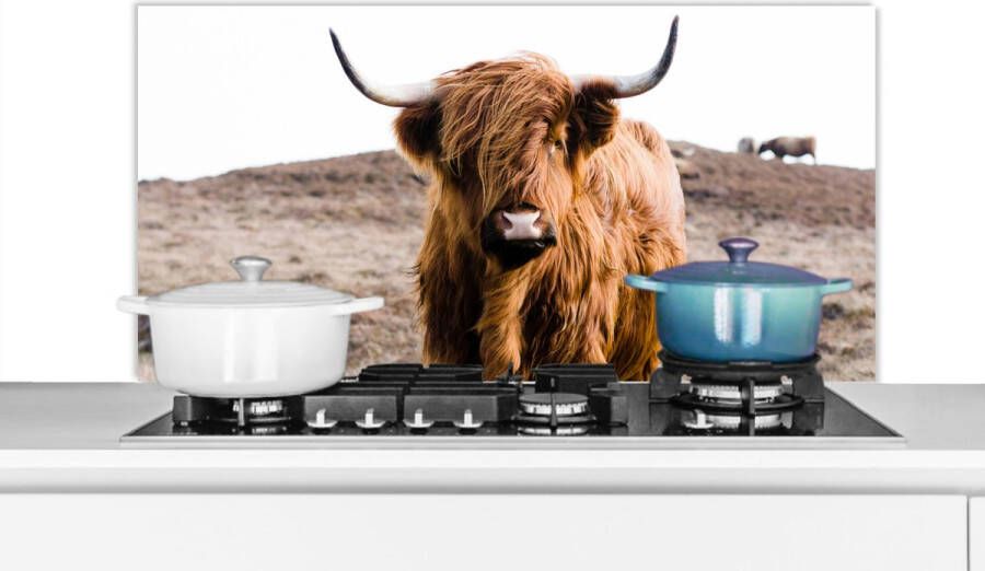 KitchenYeah Spatscherm Keuken Kookplaat Achterwand Spatwand Fornuis 100x50 cm Schotse hooglander Landschap Koe Stier Bruin Dieren Natuur Aluminium Wanddecoratie Muurbeschermer Hittebestendig