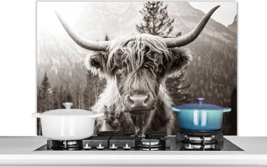 KitchenYeah Spatscherm Keuken Kookplaat Achterwand Spatwand Fornuis 100x65 cm Schotse hooglander Koeien Natuur Groen Gras Aluminium Wanddecoratie Muurbeschermer Hittebestendig - Foto 3