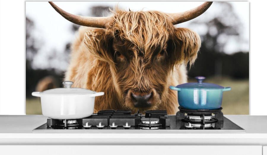 KitchenYeah Spatscherm Keuken Kookplaat Achterwand Spatwand Fornuis 120x60 cm Schotse hooglander Koeien Natuur Groen Gras Aluminium Wanddecoratie Muurbeschermer Hittebestendig - Foto 2