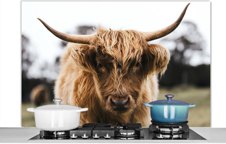 KitchenYeah Spatscherm Keuken Kookplaat Achterwand Spatwand Fornuis 120x80 cm Schotse hooglander Koeien Natuur Groen Gras Aluminium Wanddecoratie Muurbeschermer Hittebestendig - Foto 2