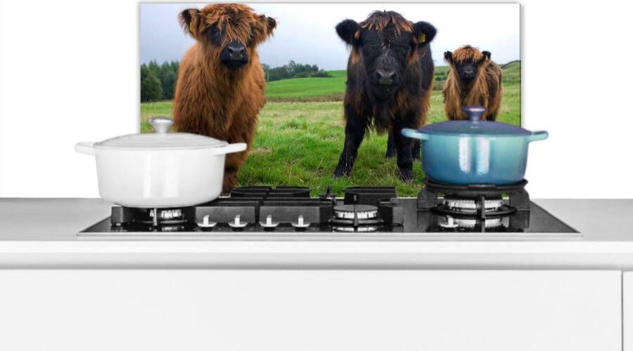 KitchenYeah Spatscherm Keuken Kookplaat Achterwand Spatwand Fornuis 70x30 cm Schotse hooglander Koeien Natuur Groen Gras Aluminium Wanddecoratie Muurbeschermer Hittebestendig