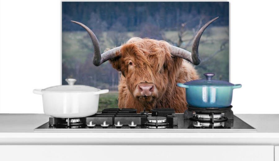 KitchenYeah Spatscherm Keuken Kookplaat Achterwand Spatwand Fornuis 70x50 cm Schotse hooglander Koeien Natuur Groen Gras Aluminium Wanddecoratie Muurbeschermer Hittebestendig - Foto 2