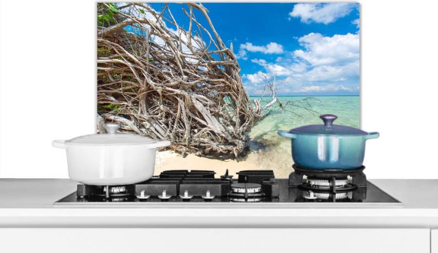 KitchenYeah Spatscherm Keuken Kookplaat Achterwand Spatwand Fornuis 70x50 cm Strand Takken Tropisch Zee Aluminium Wanddecoratie Muurbeschermer Hittebestendig