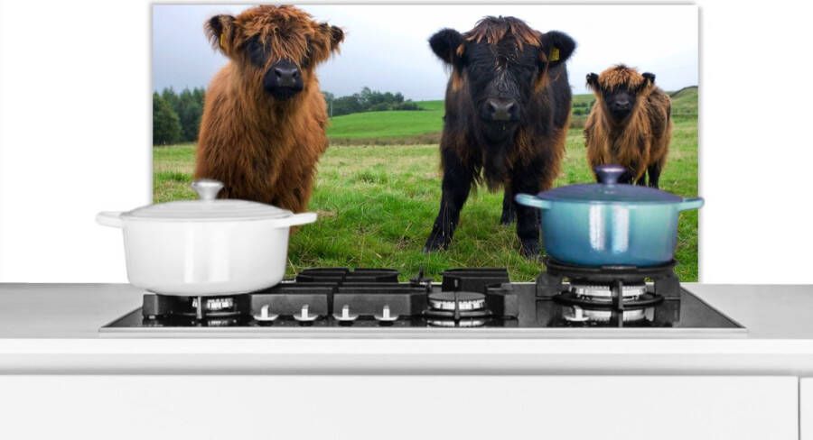 KitchenYeah Spatscherm Keuken Kookplaat Achterwand Spatwand Fornuis 90x45 cm Schotse hooglander Koeien Natuur Groen Gras Aluminium Wanddecoratie Muurbeschermer Hittebestendig