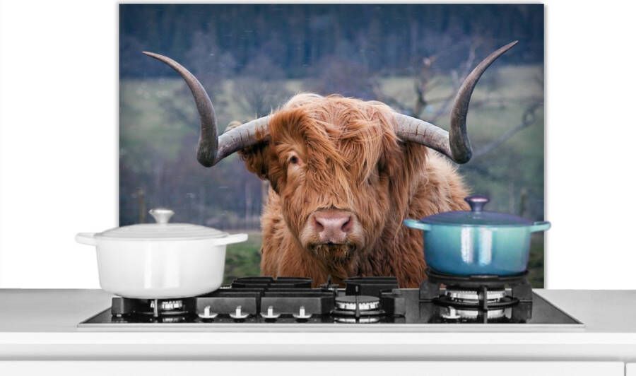 KitchenYeah Spatscherm Keuken Kookplaat Achterwand Spatwand Fornuis 90x60 cm Schotse hooglander Koeien Natuur Groen Gras Aluminium Wanddecoratie Muurbeschermer Hittebestendig - Foto 2