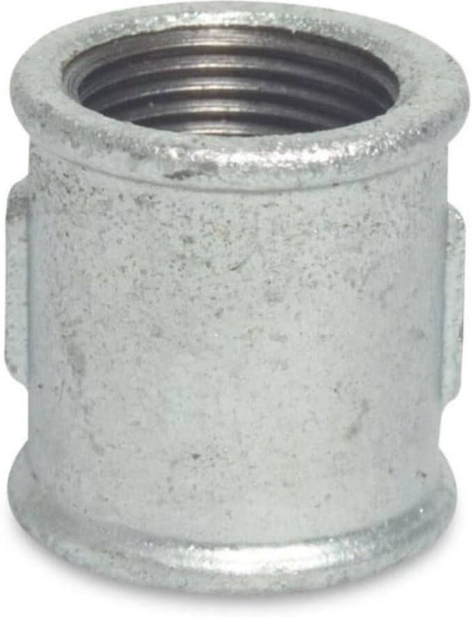 Klasebo Tempergietfitting 1 4 inch Draadfitting Tempergiet Mof