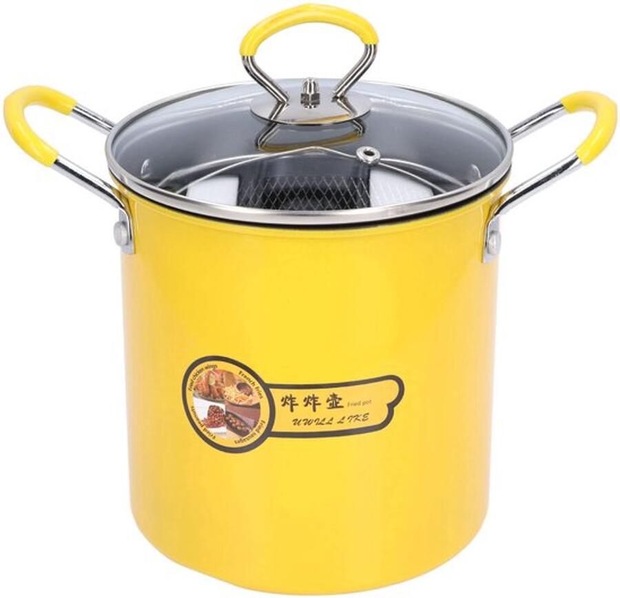 Kleine Frituurpan 3L Mini-friteusepan Met Mand Roestvrijstalen Koekenpan Met Oliefilterrekdeksel Voor Thuis Tempura-chips Friet
