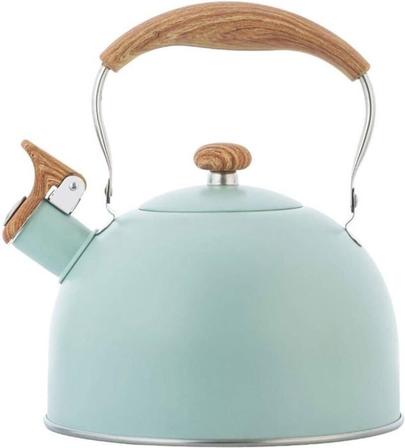 LISM 2 5 liter waterkoker met fluitje roestvrijstalen waterkoker Geschikt voor inductiekookplaten gasfornuizen