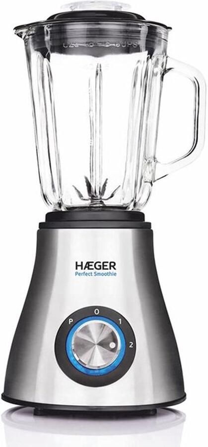 Mixer van glas Smoothie 600 W