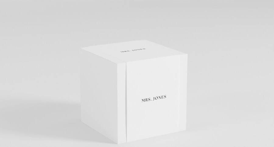 Mrs. Jones Professionele 1400 W stoomstomer verticale derocker met 95 g min stoomstroom 16 l tank 12 stoominstellingen geschikt voor alle stoffen