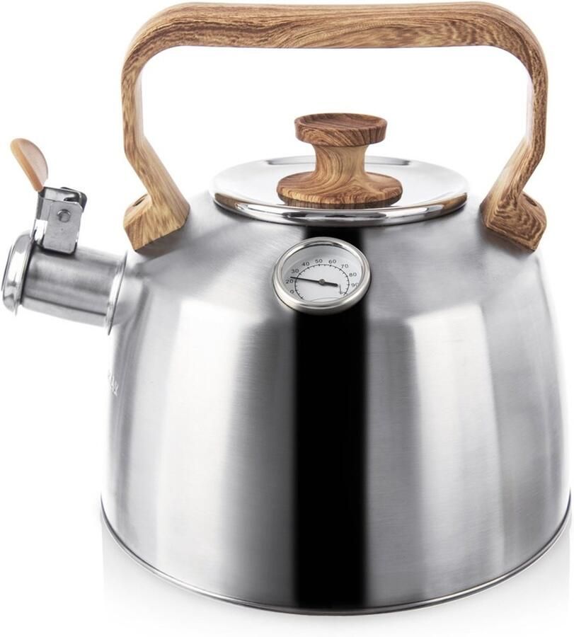 Orion RVS Fluitketel 3 2L Thermometer Geschikt voor alle kachels