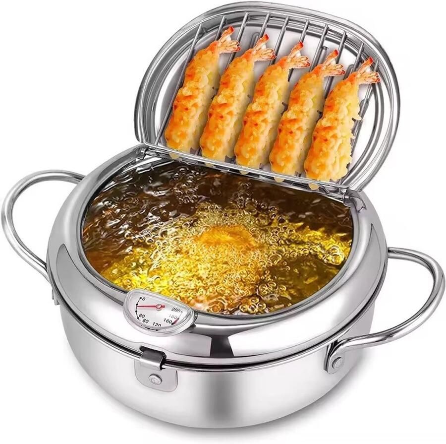 OUTARO Kleine Frituur Pan Mini Friteuse Diameter 24cm Japanse Frituurpan Friteuse 3.4 Liter Met Thermometer Frietpan Frituurpan Huisraad Friteuse Chipfriteuse Friteuse Makkelijk Schoon Te Maken Geschikt Voor Gas En Inductie Zilver