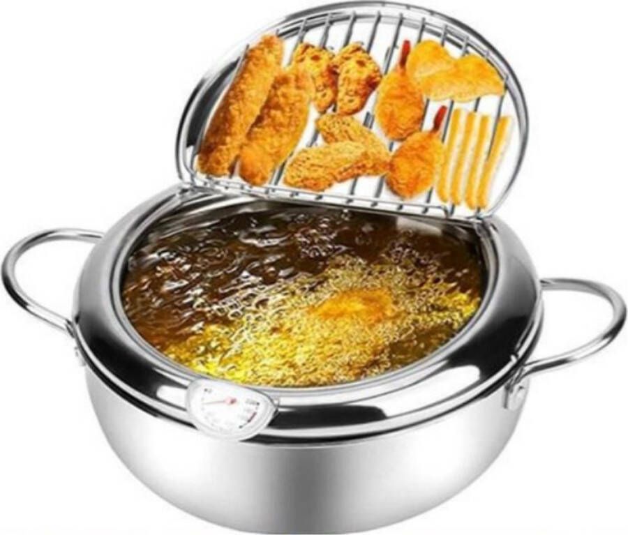 OxyFlowzy Japanse Friteuse 20cm 2 2L Friteuse 2 liter Frituurpan Friteuse
