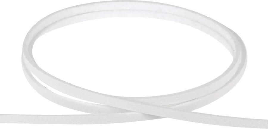 Platte band van imitatieleer 3 mm breed 10 meter lang