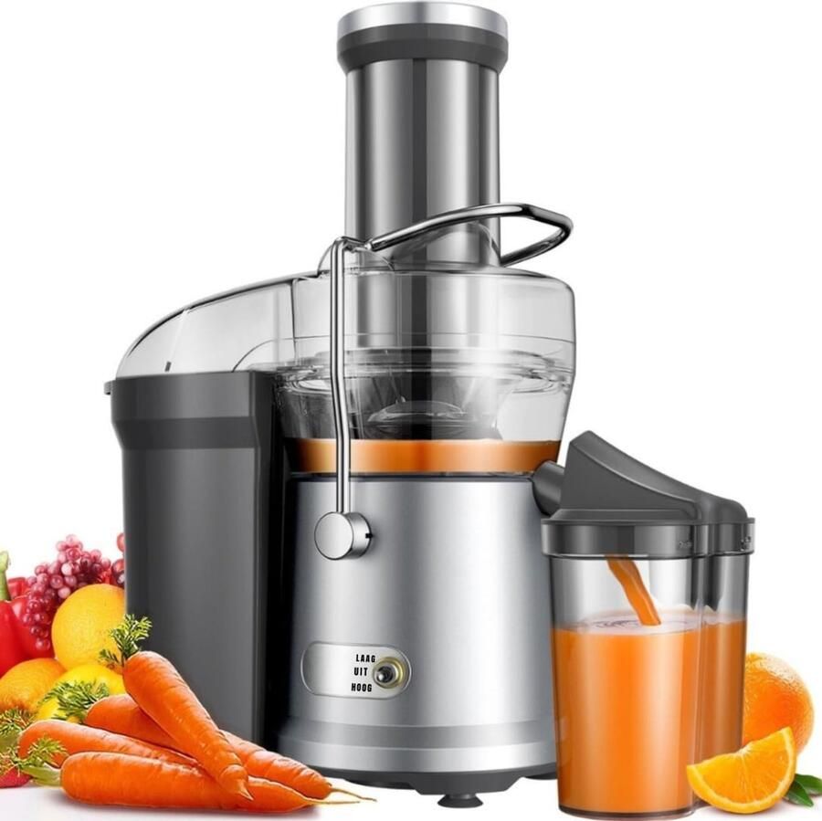 RONN Sapcentrifuges groenten en fruit Sapcentrifuges Slowjuicer Zilver ‎10cm x 42cm x 30cm