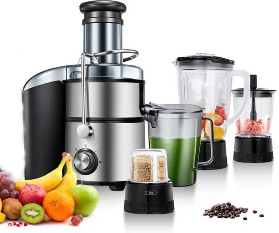 Royalty line PJ-19003 4 in 1 Slowjuicer Blender Hakmolen Koffiemolen Sapcentrifuge voor Groenten & Fruit Juicer met 1 Liter Sapbeker en 2 Liter Pulpreservoir Power Juicer met 3 Snelheden 1000W Multi Juicer Zilver