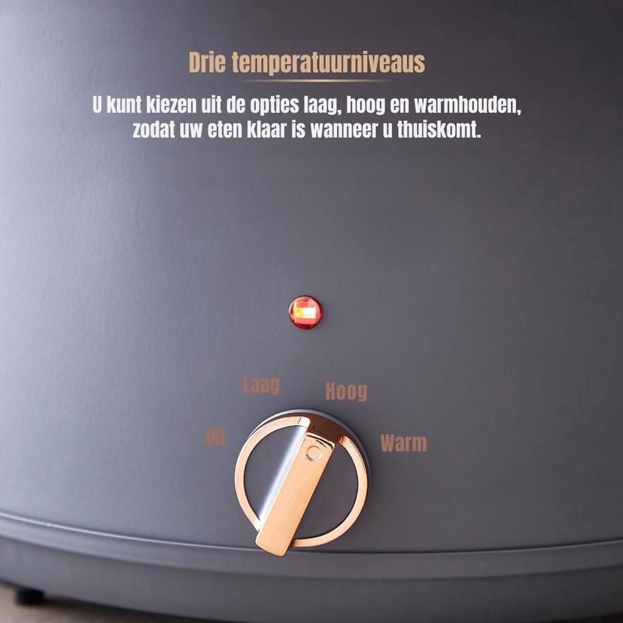 Sch Slowcooker met timer Slowcooker Crockpot Grijs ‎30cm x 42cm x 26cm