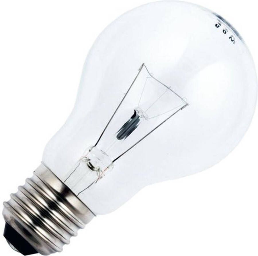 Schiefer Lighting Schiefer E27 Grote Fitting Oven Gloeilamp 100W 2700K 900lm 240V Dimbaar