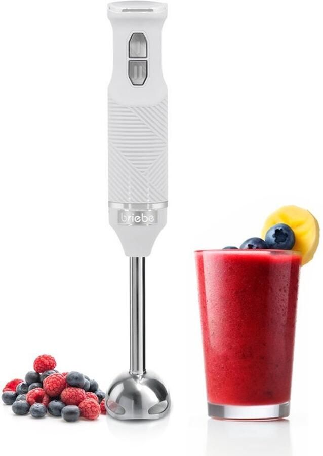 Staafmixer 600 W Roestvrijstalen Messen Afneembare Voet Ergonomisch en Elegant Design Wit