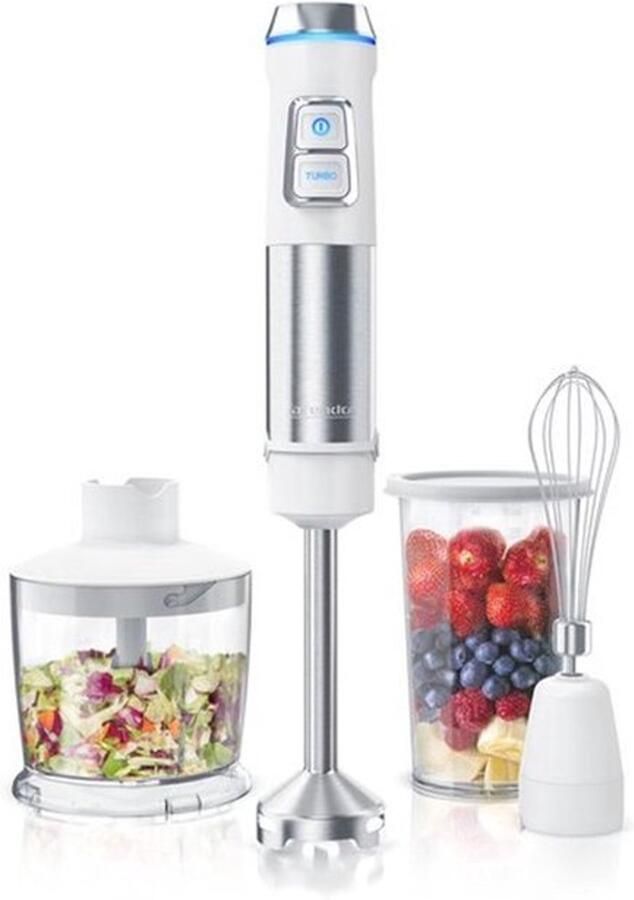 Staafmixer roestvrij staal 1200 Watt set Staafmixer Traploze snelheid 4-vleugelig mes 800 ml maatbeker garde afneembare