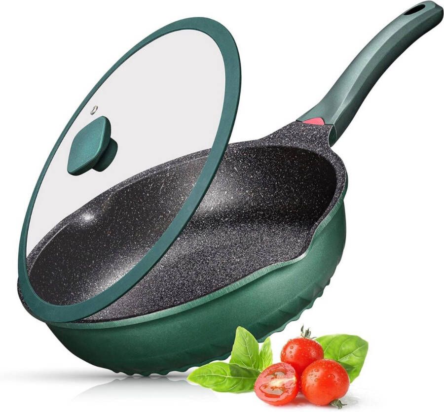 Thuys Frituurpan Inductie Frituurpan Frituurmandje 52cm x 30cm x 8cm Groen