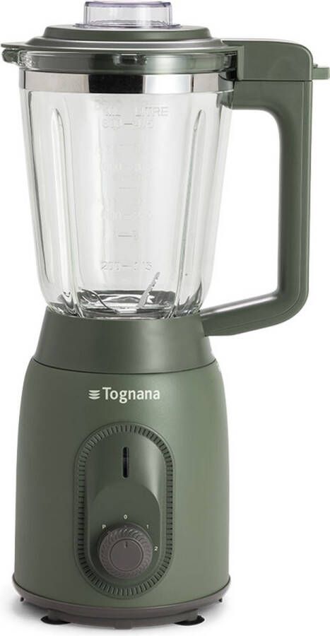 Tognana Porcellane D2DFU01IRVE blender 0 8 l Blender voor op aanrecht 300 W Groen