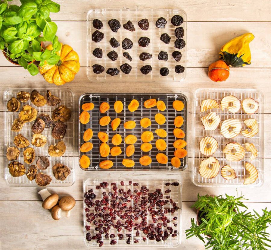 TZS FIRST AUSTRIA Voedseldroger 240W 5 Laags 35°C tot 70°C LCD Display BPA-vrij Timer