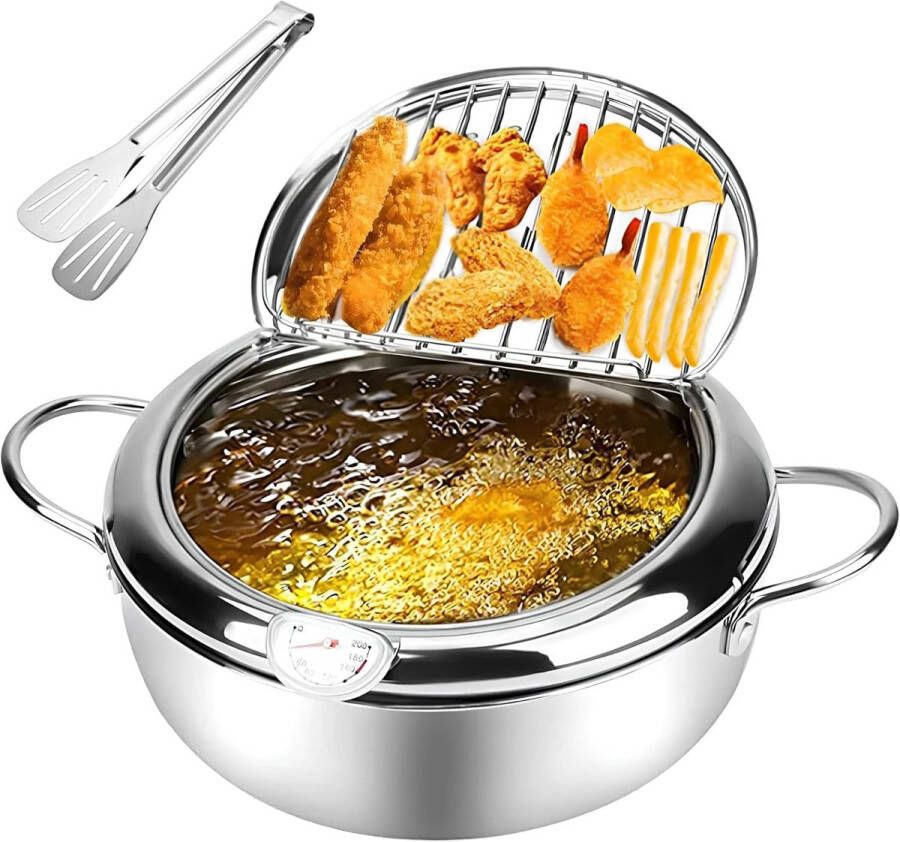 WNHB Frituurpan roestvrij staal mini friteuse met deksel en thermometer 2.2 liter 20 cm pan voor frituren en koken